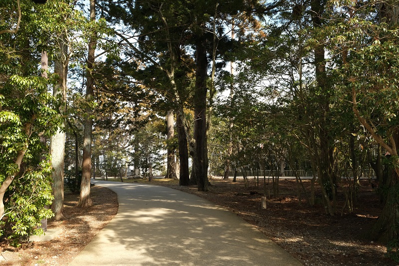 x-t3レビュー画質の評価 管理人撮影の風景写真
