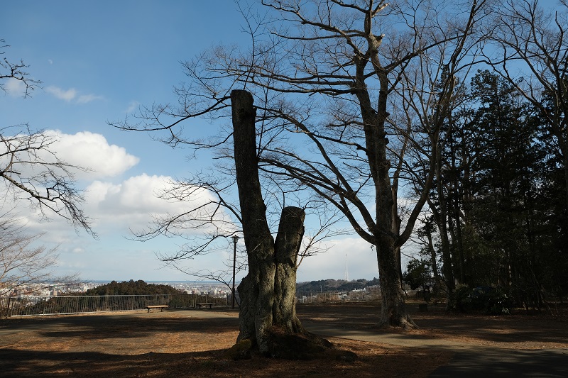 x-t3レビュー画質の評価青葉城址公園から見た仙台市内一望写真