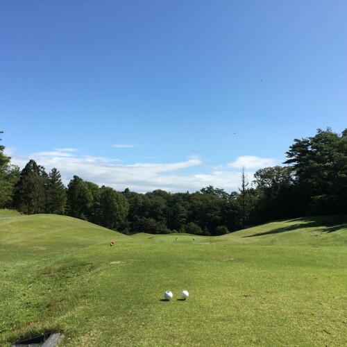 【2019】宮里藍 サントリーレディスオープンゴルフトーナメントのイメージ画像