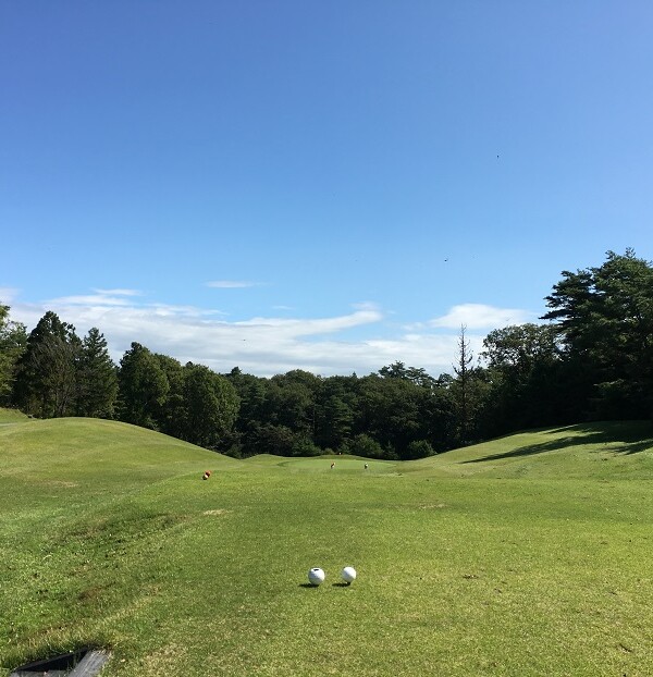 【2019】宮里藍 サントリーレディスオープンゴルフトーナメントのイメージ画像