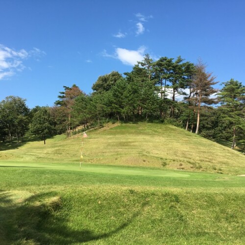 アースモンダミンカップのイメージ画像